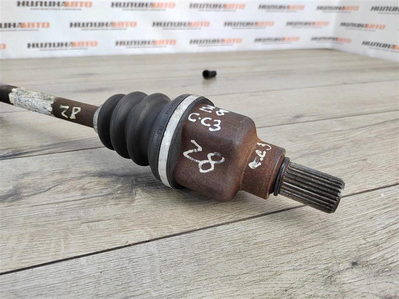 Привод, 3000 рублей, Москва