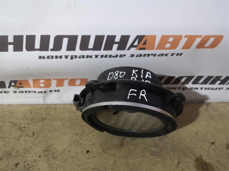 Динамик, 1000 рублей, Севастополь