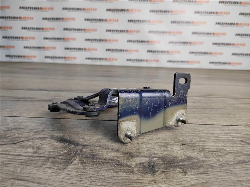 Петля капота, 500 рублей, Москва