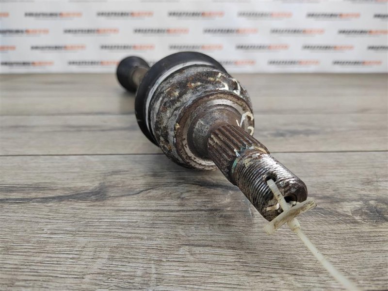 Привод, 3000 рублей, Москва