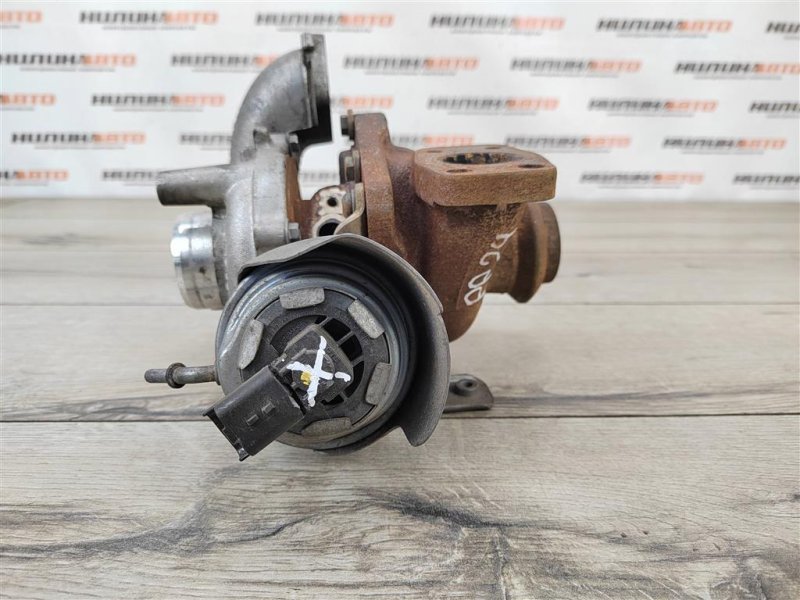 Турбина, 10000 рублей, Москва