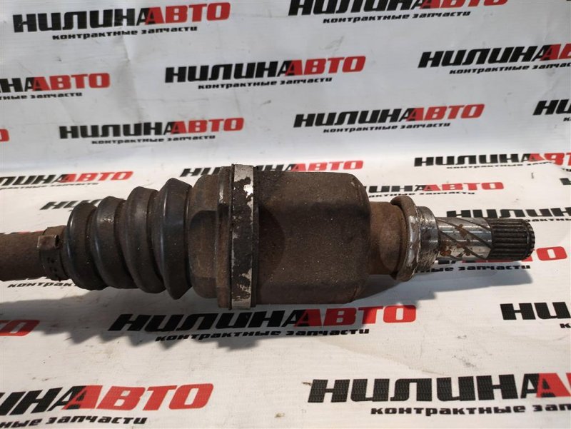 Привод, 3100 рублей, Севастополь