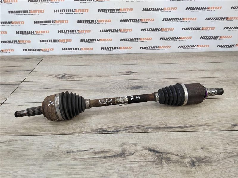 Привод, 2500 рублей, Москва