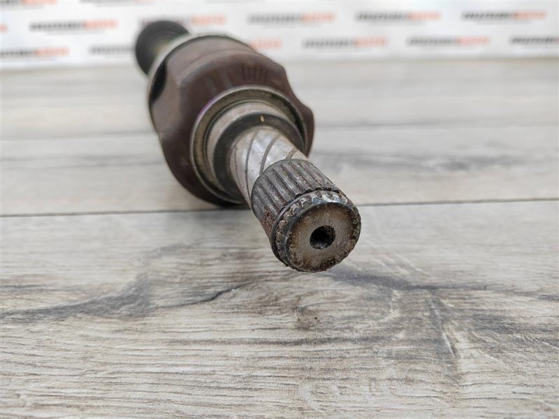 Привод, 2500 рублей, Москва