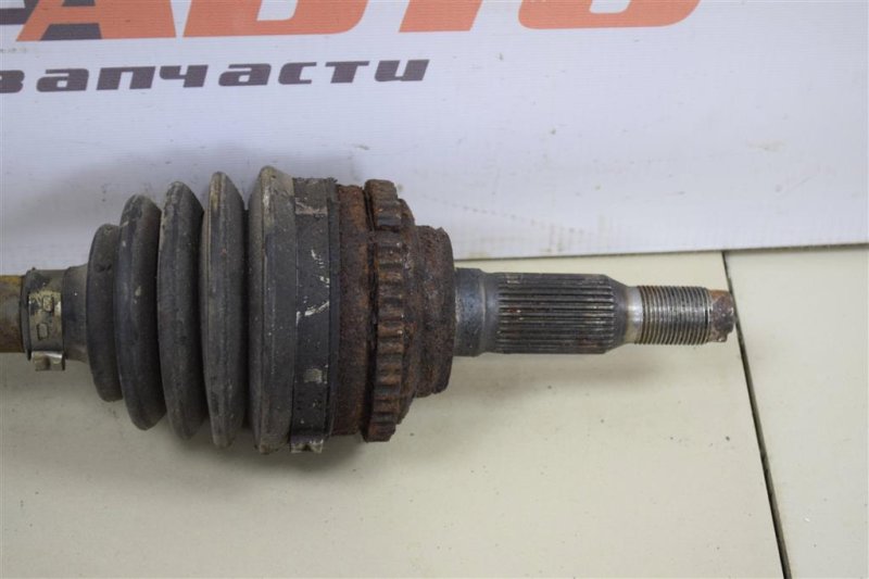 Привод, 3000 рублей, Севастополь