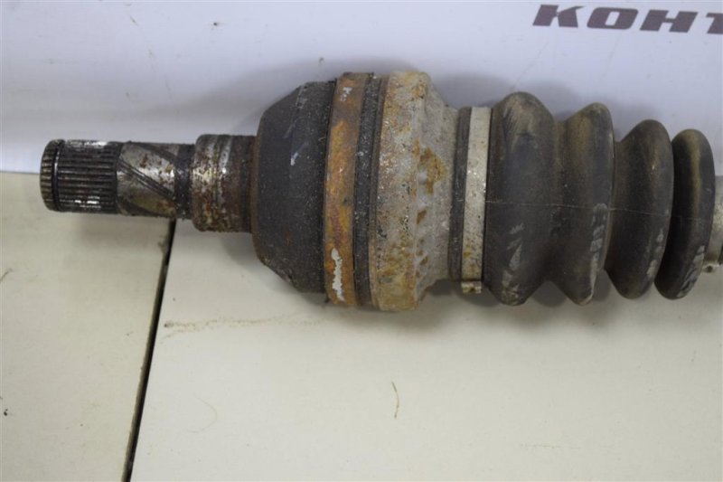 Привод, 3000 рублей, Севастополь