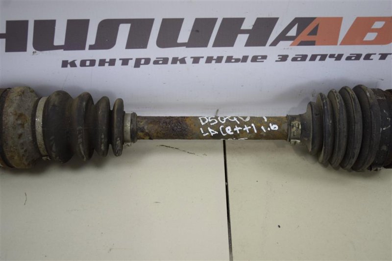 Привод, 3000 рублей, Севастополь