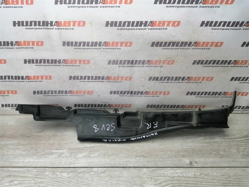 Пыльник крыла, 800 рублей, Севастополь