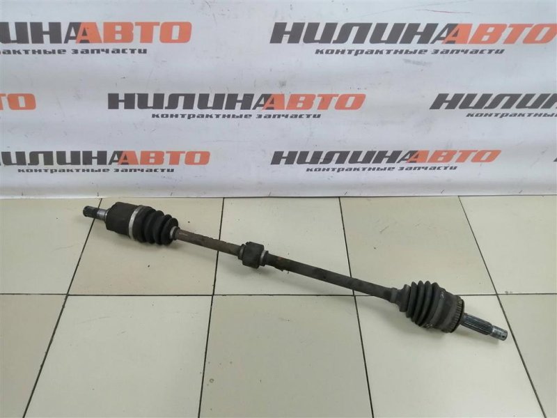 Привод, 5000 рублей, Севастополь