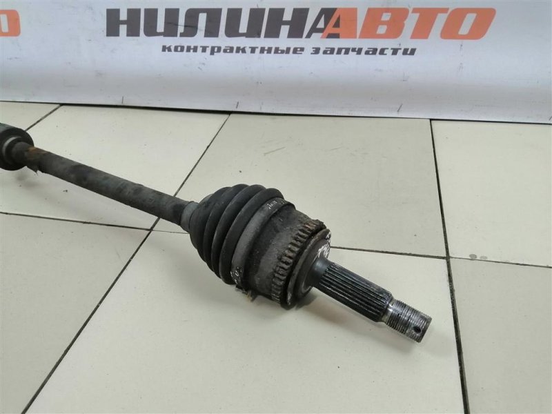 Привод, 5000 рублей, Севастополь