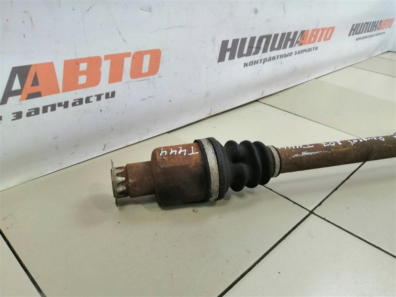 Привод, 4000 рублей, Севастополь