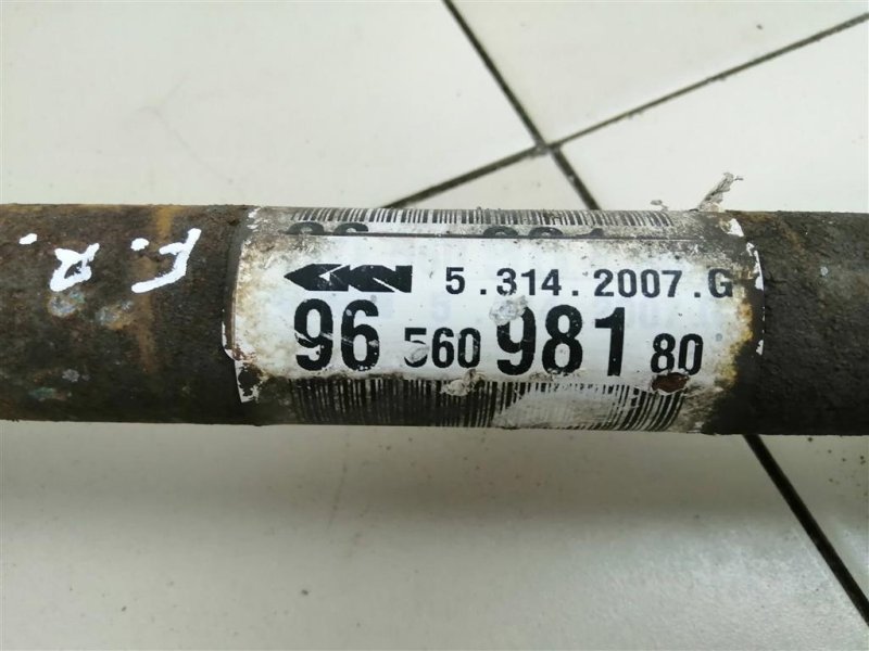 Привод, 4000 рублей, Севастополь