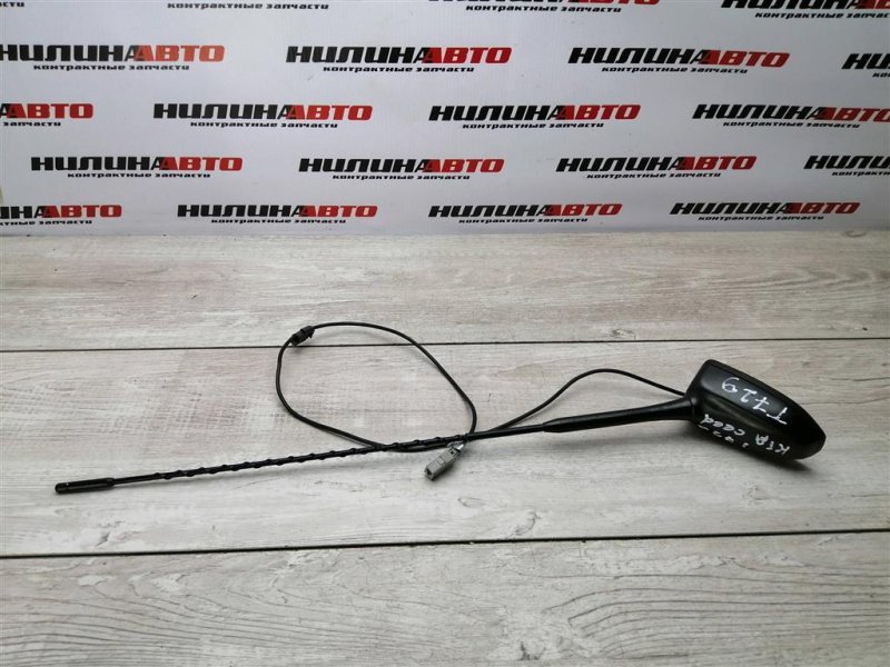 Антенна, 1400 рублей, Севастополь