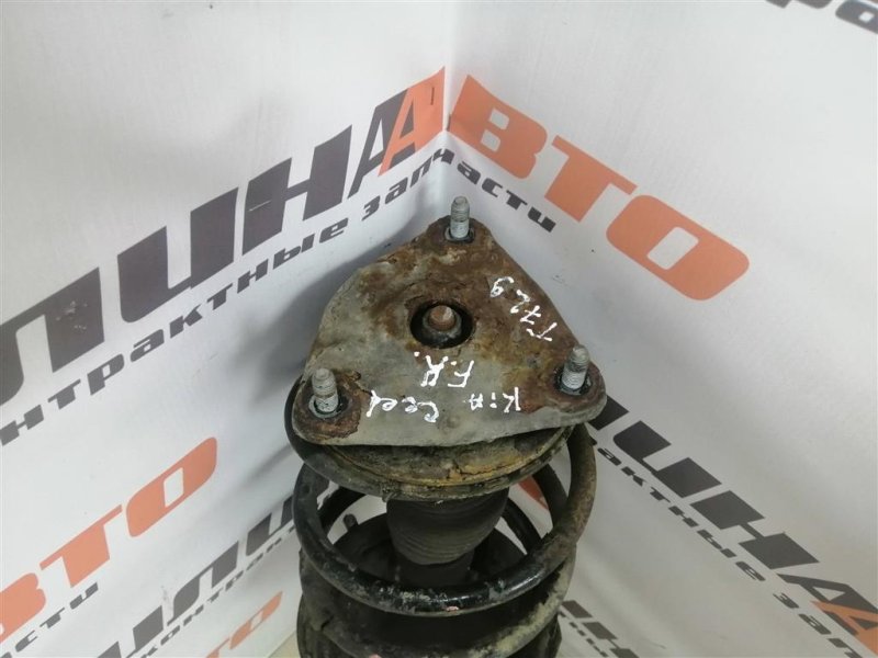 Амортизатор, 2500 рублей, Севастополь