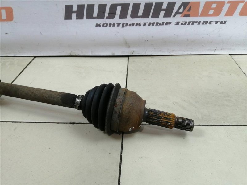 Привод, 3000 рублей, Севастополь