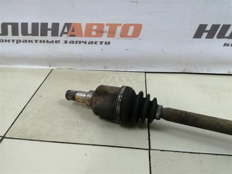 Привод, 3000 рублей, Севастополь