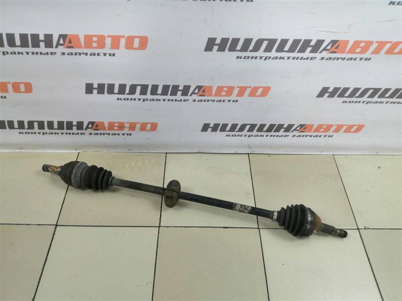 Привод, 5000 рублей, Севастополь