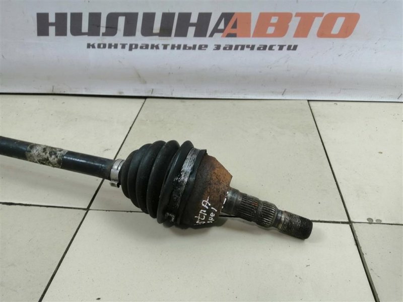 Привод, 5000 рублей, Севастополь