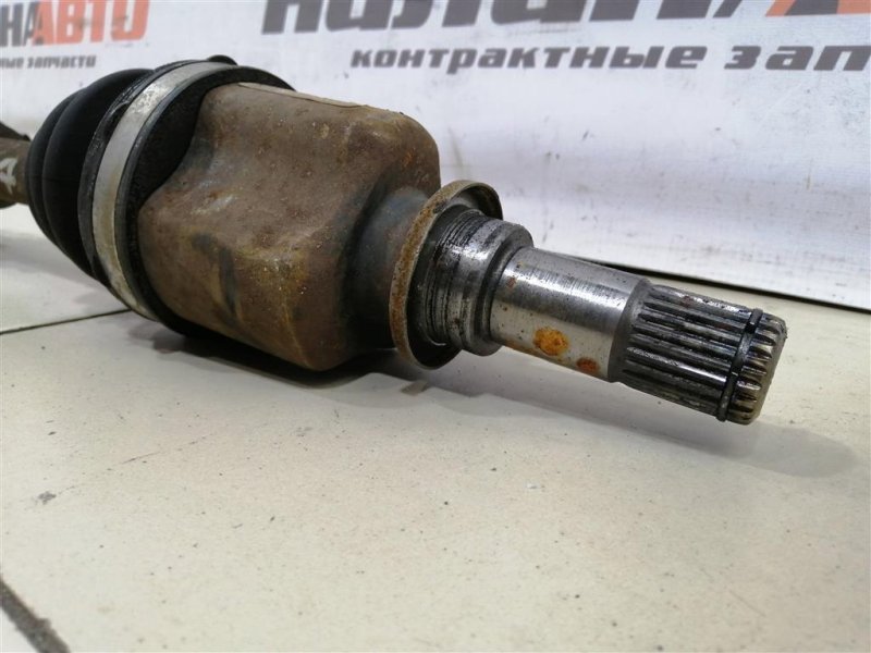 Привод, 3000 рублей, Севастополь