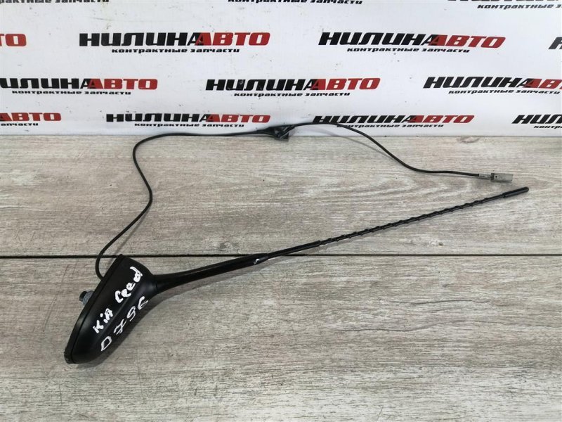 Антенна, 1000 рублей, Севастополь