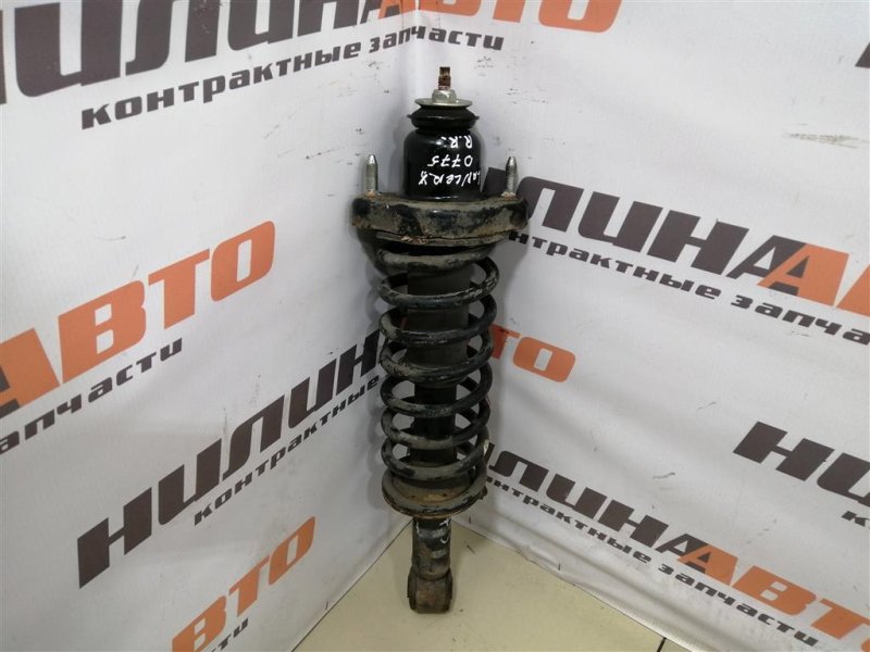 Амортизатор, 2000 рублей, Севастополь