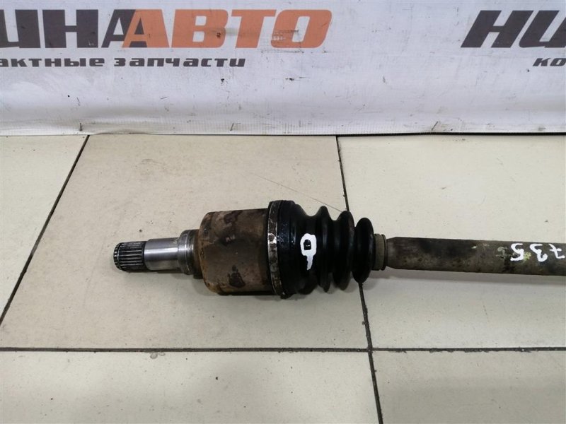 Привод, 3000 рублей, Севастополь