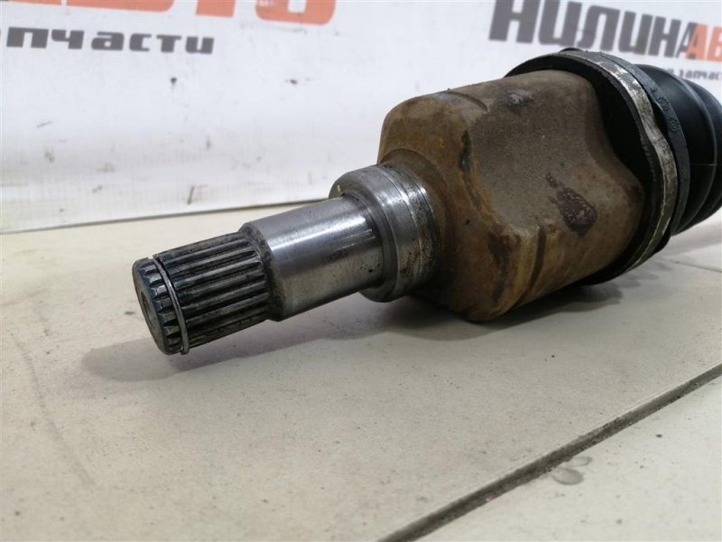 Привод, 3000 рублей, Севастополь