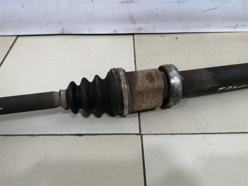 Привод, 5000 рублей, Севастополь