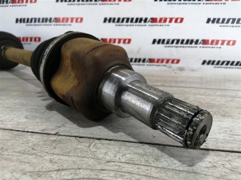 Привод, 3000 рублей, Севастополь