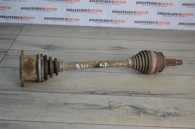 Привод, 1000 рублей, Москва