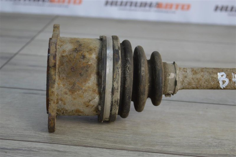 Привод, 1000 рублей, Москва