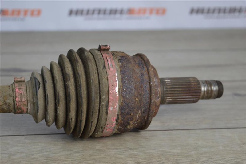 Привод, 1000 рублей, Москва