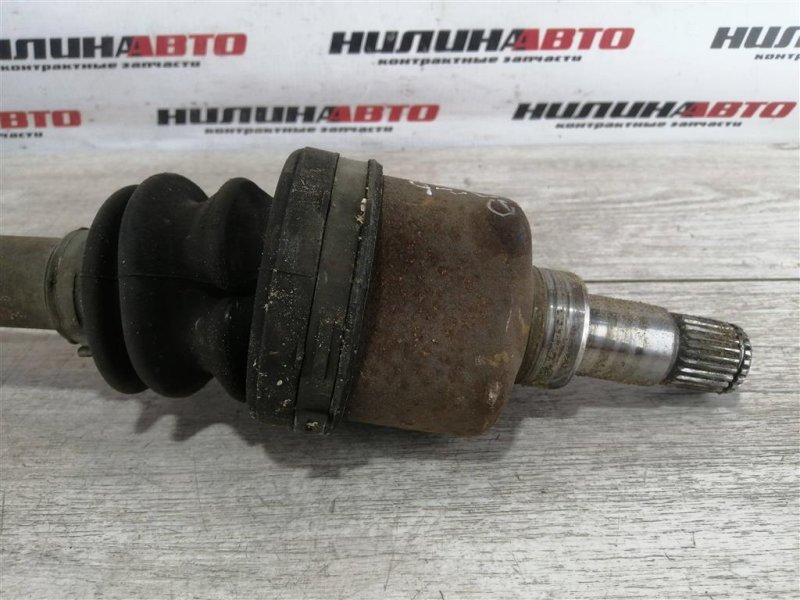 Привод, 4000 рублей, Севастополь