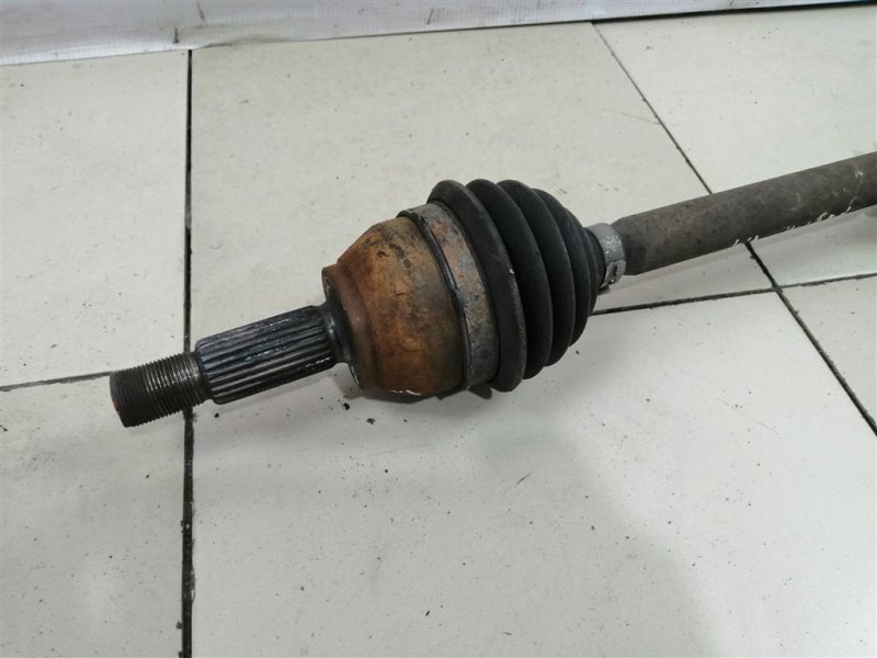 Привод, 5000 рублей, Севастополь