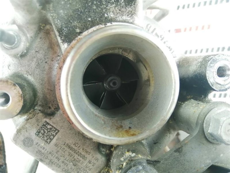 Турбина, 15000 рублей, Севастополь