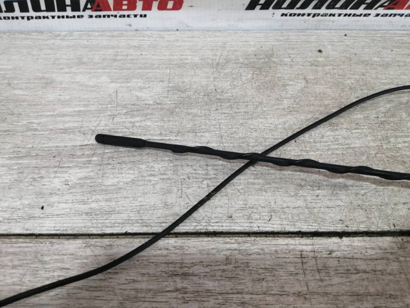 Антенна, 1000 рублей, Севастополь