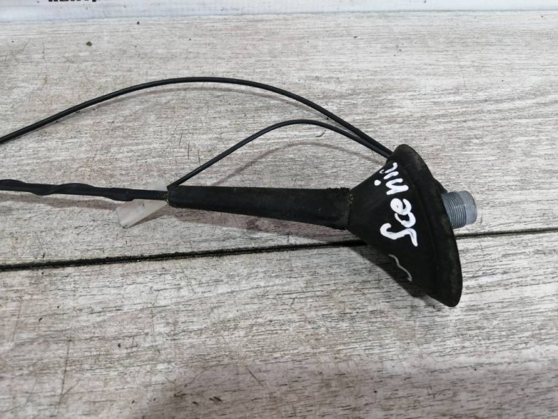 Антенна, 1000 рублей, Севастополь