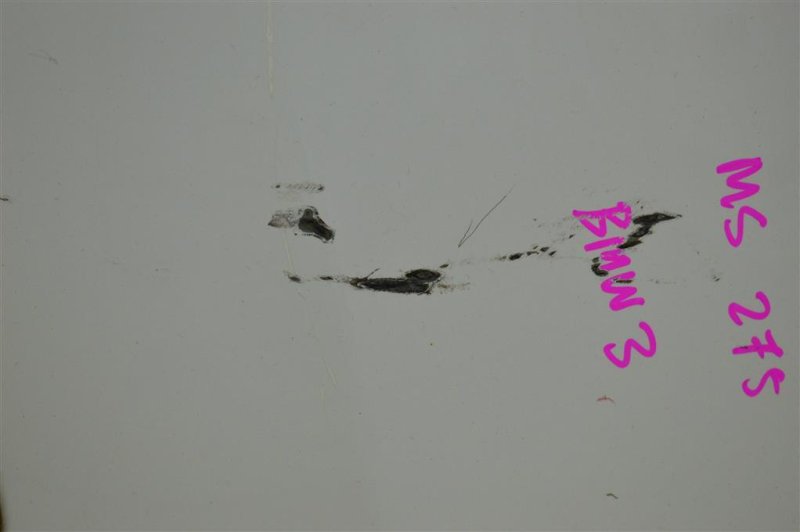 Крыло, 3900 рублей, Москва