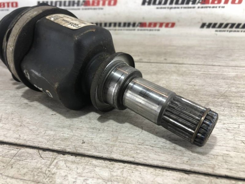 Привод, 3000 рублей, Севастополь