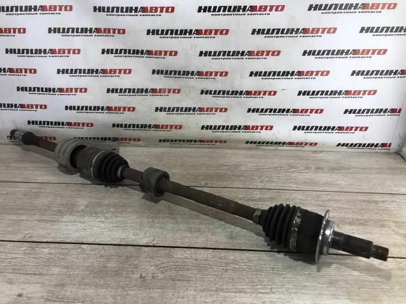 Привод, 15000 рублей, Севастополь