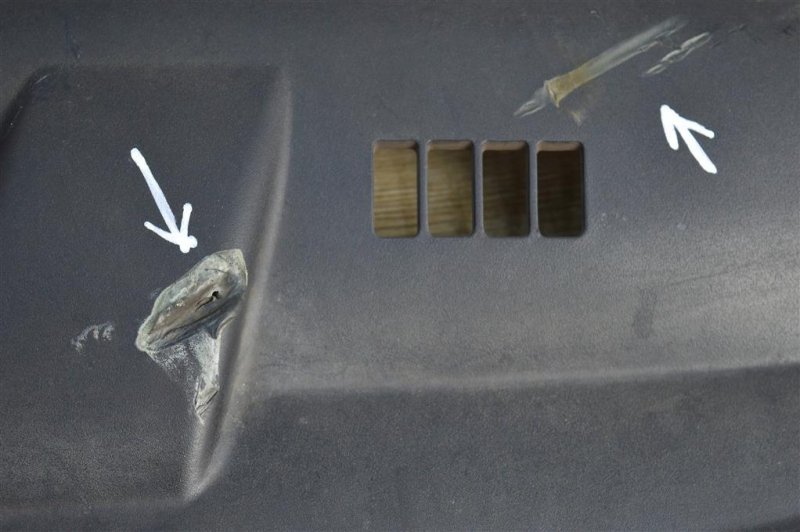 Пыльник бампера, 500 рублей, Москва