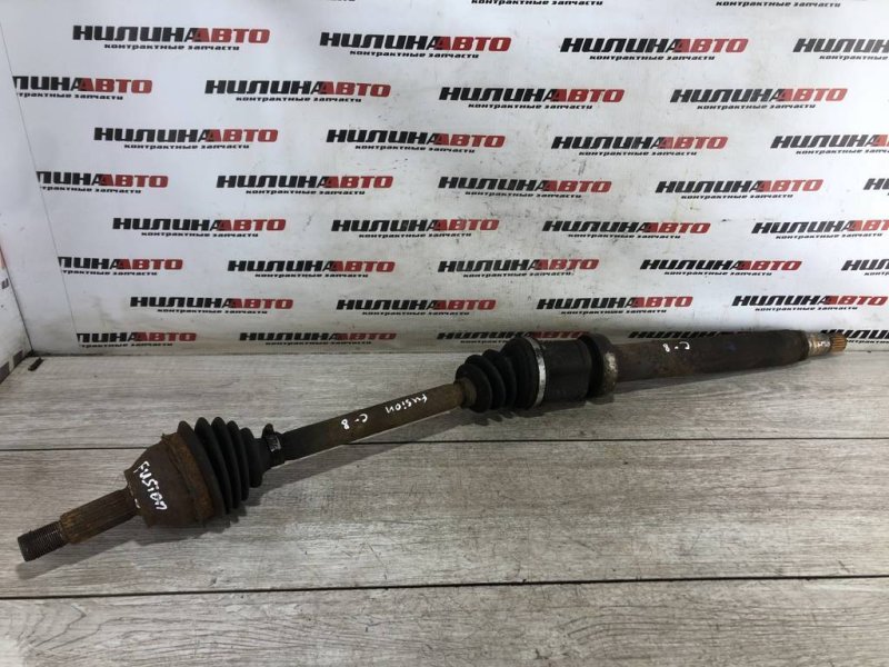 Привод, 5000 рублей, Севастополь