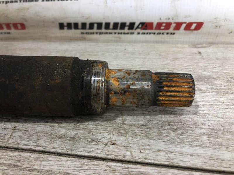 Привод, 5000 рублей, Севастополь