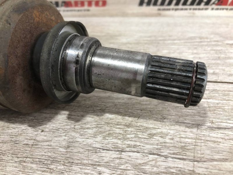 Привод, 8000 рублей, Севастополь