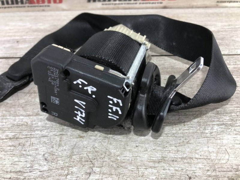 Ремень безопасности, 800 рублей, Севастополь