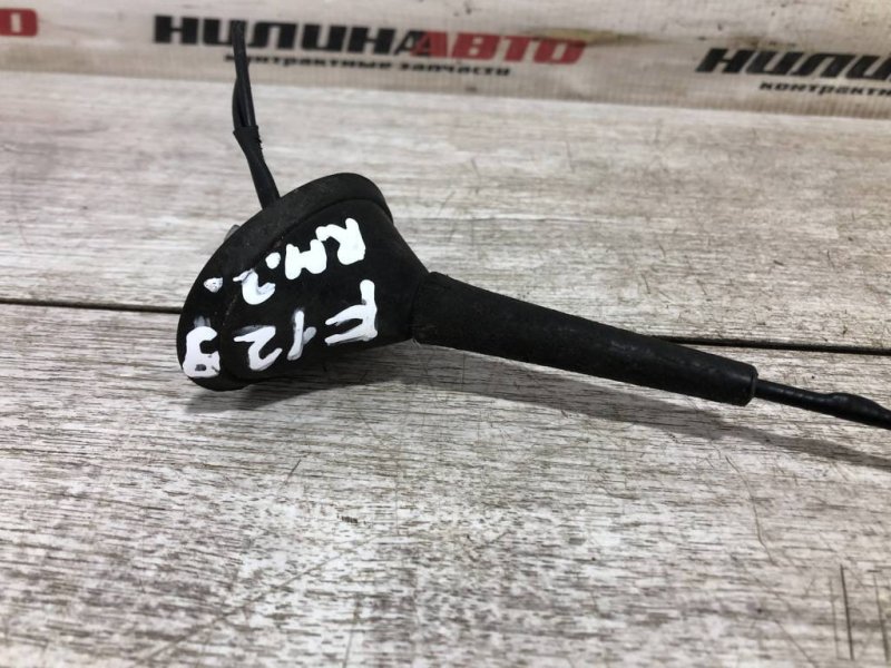 Антенна, 1000 рублей, Севастополь