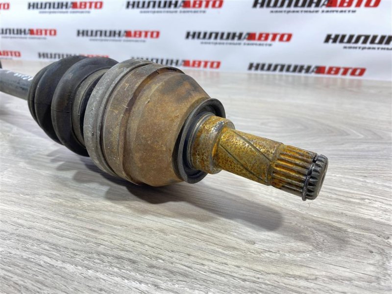 Привод, 3000 рублей, Севастополь