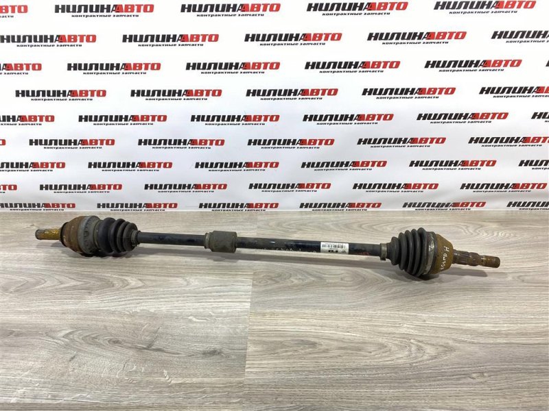 Привод, 5000 рублей, Севастополь