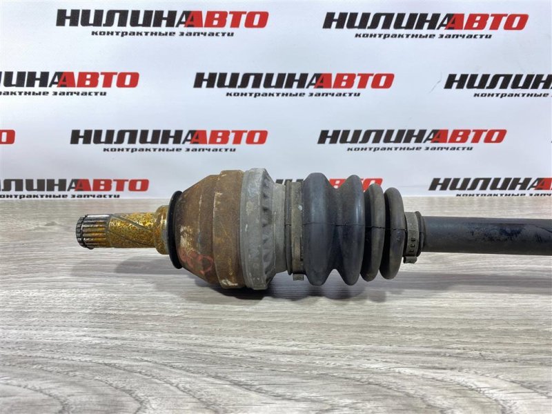 Привод, 5000 рублей, Севастополь