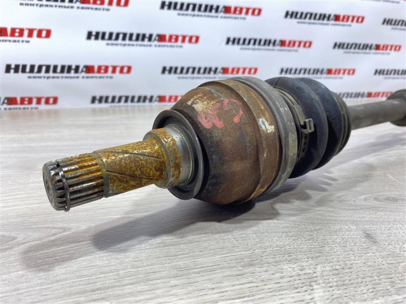 Привод, 5000 рублей, Севастополь